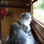 Pippa's purrfect Cheshire Cat Narrowboat Holiday
